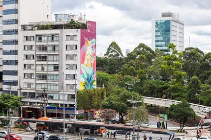 grafites-deixam-sp-mais-bonita