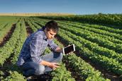 estagio-em-agronomia-e-o-que-oferece-melhor-remuneracao-confira-ranking